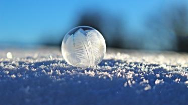 Wonderful Winter