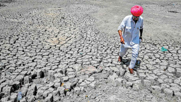 india-emissions-targets.jpg