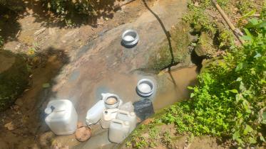 bandarbans-alikadam-1.jpg
