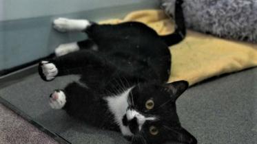 3e2v75cpyfmutpt74undnogwdq.jpg