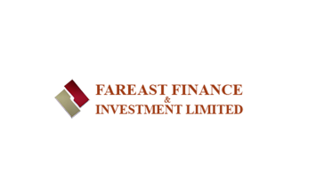 fareast_finance_and_investment_limited.png