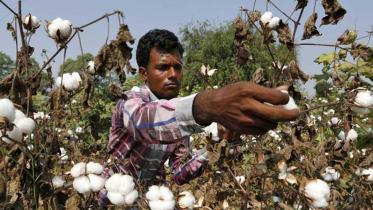 Bangladesh's cotton consumption