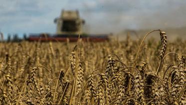 ukraines-food-exports.jpg