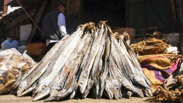 Chattogram Shutki market