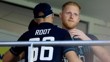 root.jpg