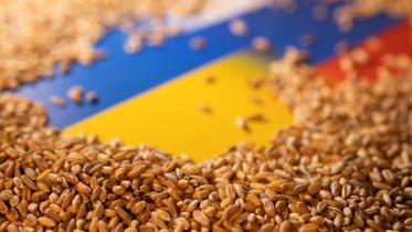 russian_food_grain.jpg