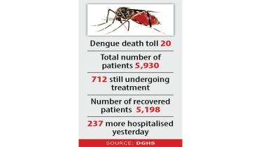 aedes-mosquitoes.jpg