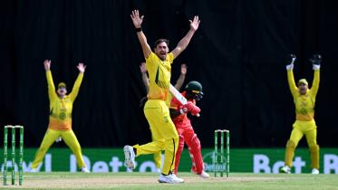 starc_web.jpg