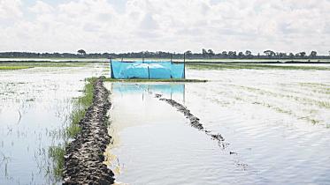 satkhira.jpg