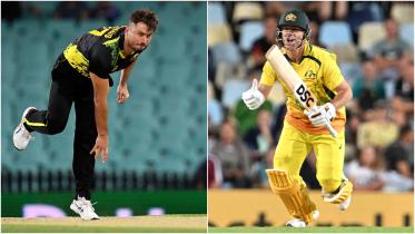 stoinis-warner.jpg