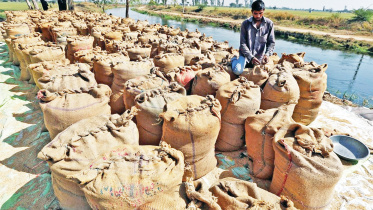 sack-of-rice.jpg