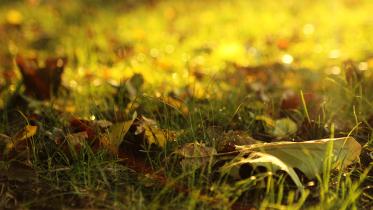Autumn has arrived!