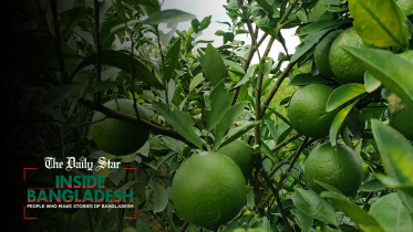 inside_bd_malta_web.jpg
