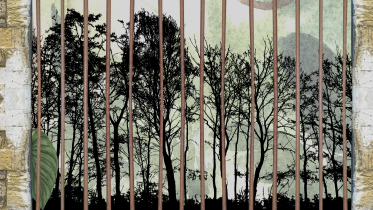 untitled_design_36.png