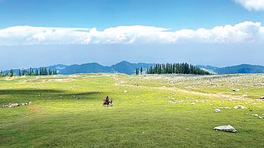 kashmir1.jpg
