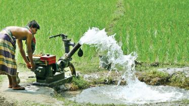Bangladeshi farmers