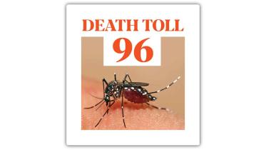 dengue cases