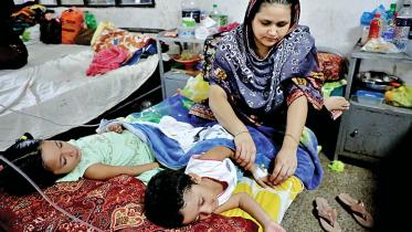 dengue.jpg