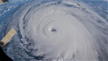 asani_web_final.jpg