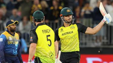 stoinis.jpg