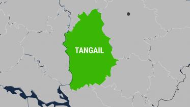 tangail.jpg