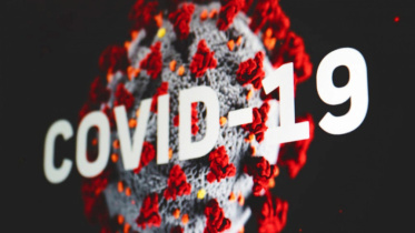 covid_visual.jpg
