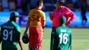 bd-zim.gif