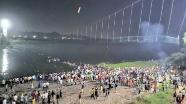 gujarat_bridge.png
