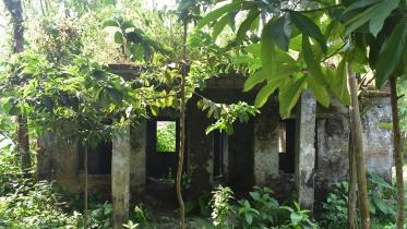 nilphamari-1.jpg