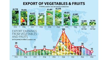 Vegetable exports dip