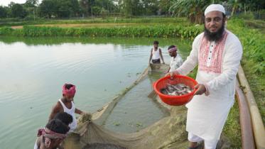 Fish farm