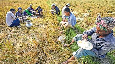 gumai-beel-4.jpg