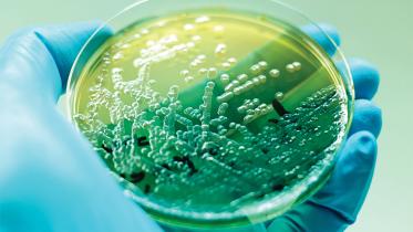 common-bacterial-infections.jpg