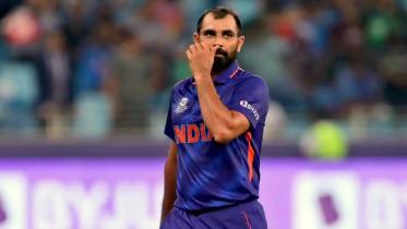 shami.jpg