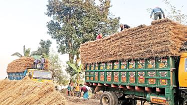 lalmonirhat-sadar-upazila-1.jpg