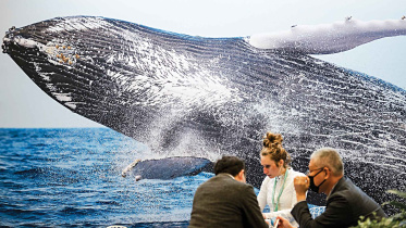 cop15-summit.jpg