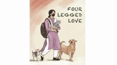 pets.jpg