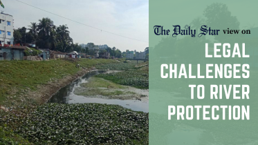 Legal challenges to river protection