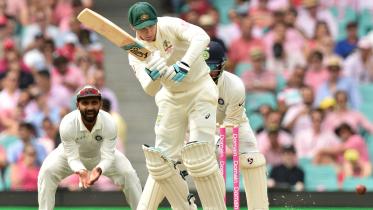 handscomb.jpg