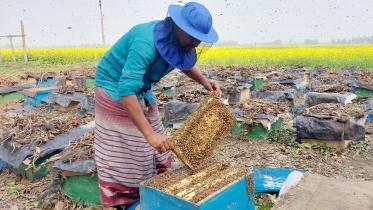 honey production