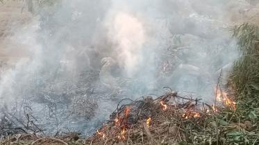 Bangladesh wildlife