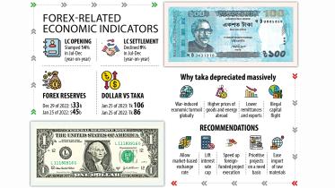 dollar crisis