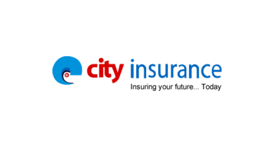City General Insurance quarterly profit 