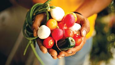 food distribution system