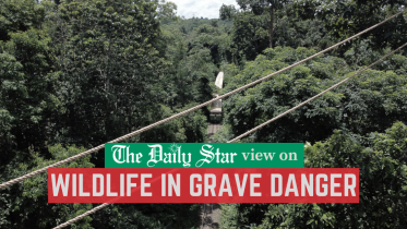 With proper initiatives, it is not hard to stop or reverse biodiversity loss