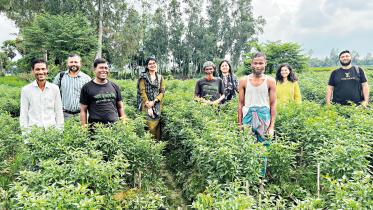 veg-farm.jpg