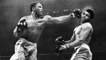 Excellence: 8 Fights