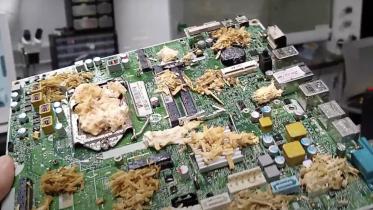 This computer is powered by real mushrooms: Here’s how