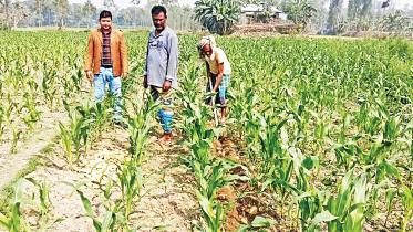 agri.jpg