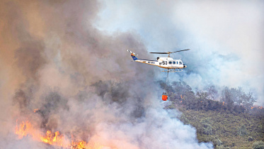 logging-wildfires.jpg